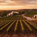 The South Australia Regional DAMA: What Regional SA Employers Can Access